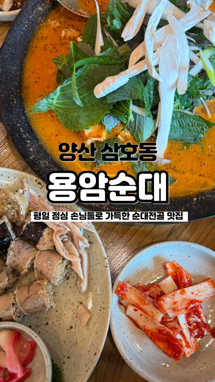  울산 근교 평일 점심 현지인 가득 순대전골 양산 찐 로컬 맛집 용암순대