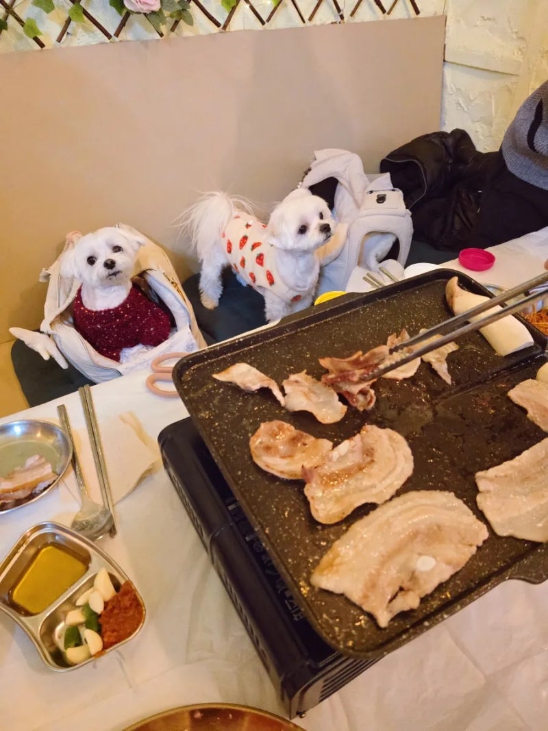부평핑크냉삼 부평역본점