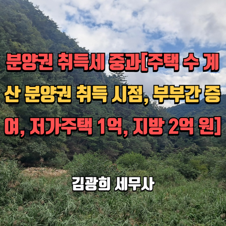  분양권 취득세 중과[주택 수 계산은 분양권 취득 시점, 부부간 증여, 저가주택 1억, 지방 2억 원]