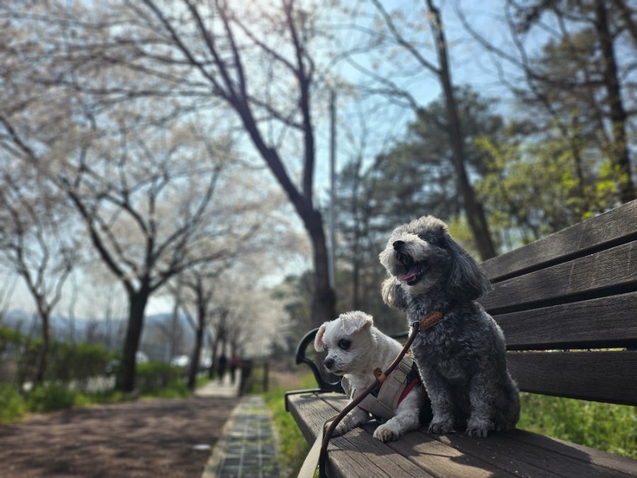 신도안동물병원 사진 2