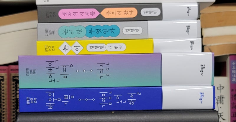 김영민의 『논어』 해설, 그리고 비평 문화
