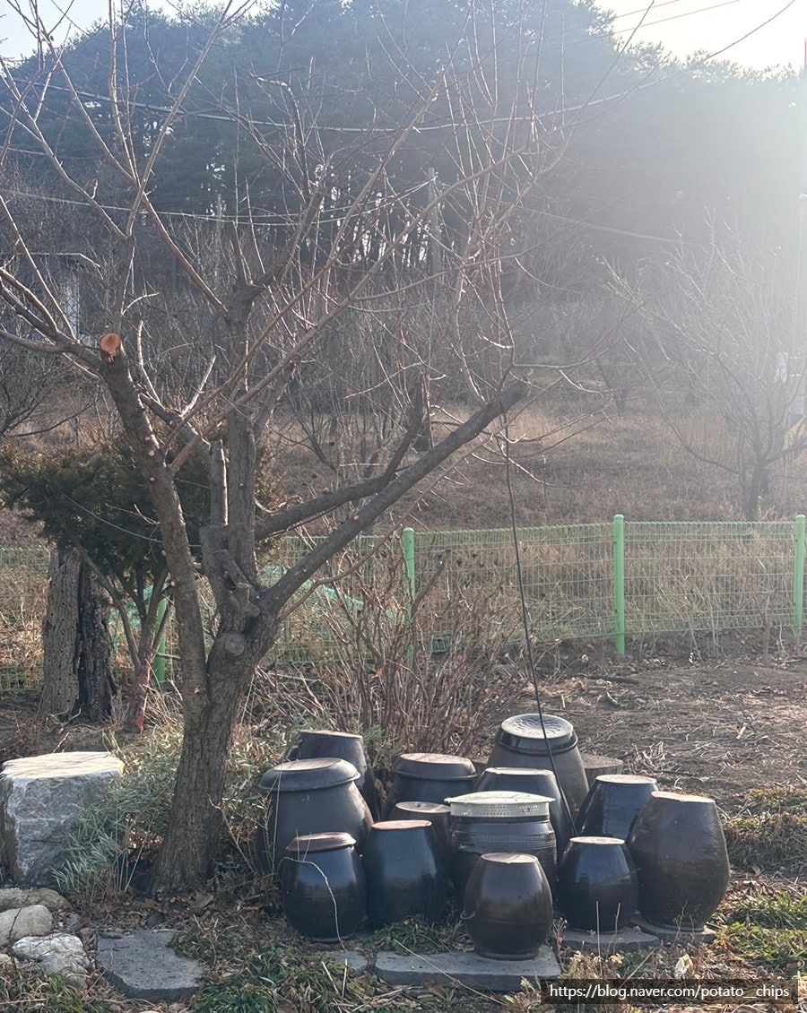 백년한옥별채 사진 4
