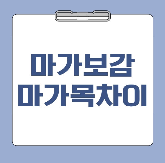 마가보감 마가목차이 가격 효과 먹는법(+최저가 판매처 추천)
