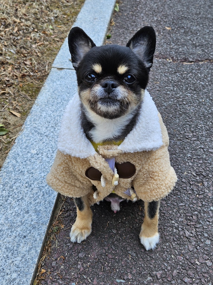 와꾸와 행복한 동행