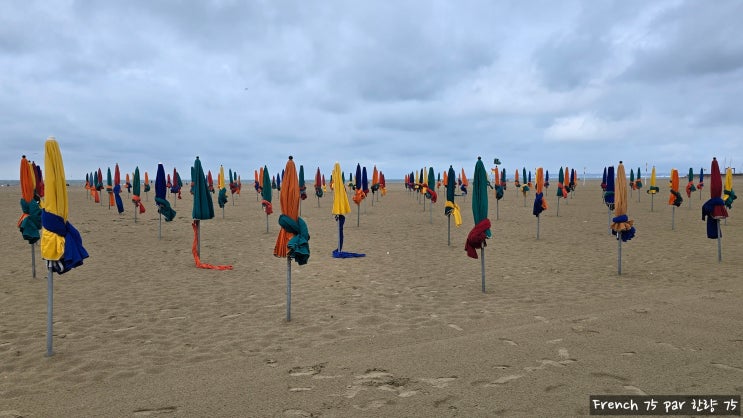  [2025년] 프랑스 파리 21구라 불리는  도빌(Deauville)