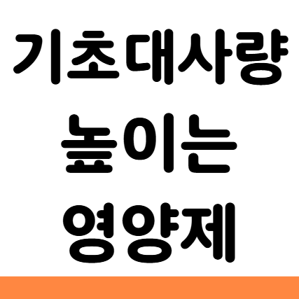  기초대사량 높이는 영양제 운동 식단 음식