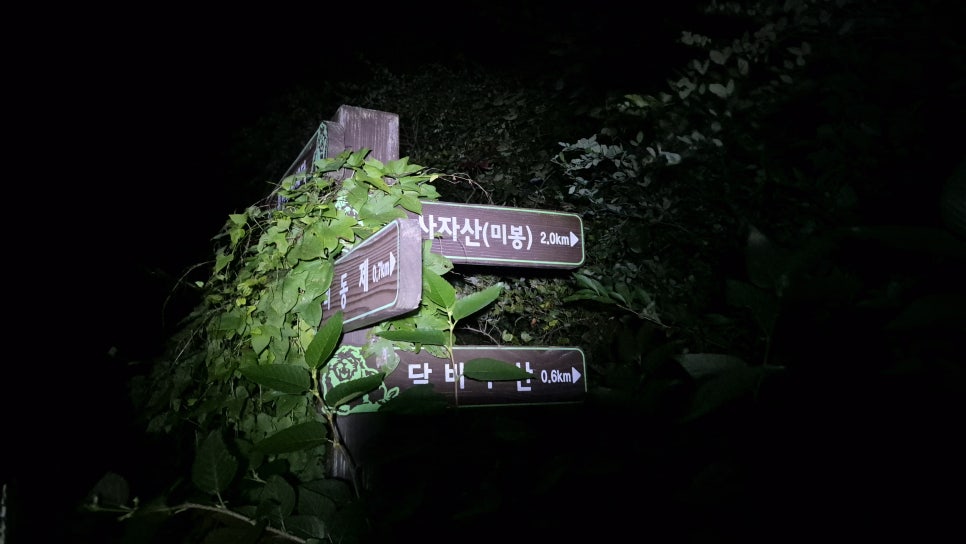 월계저수지 사진 5