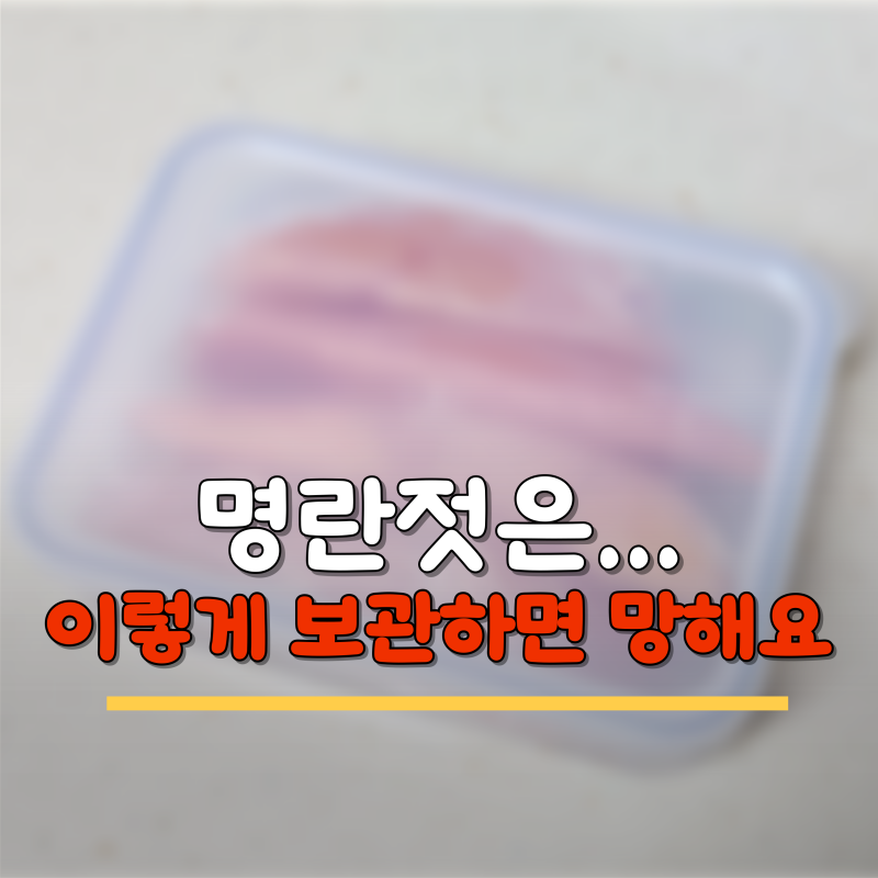 "명란젓 보관법은..." 이렇게 안 하면 다 버리게 됩니다