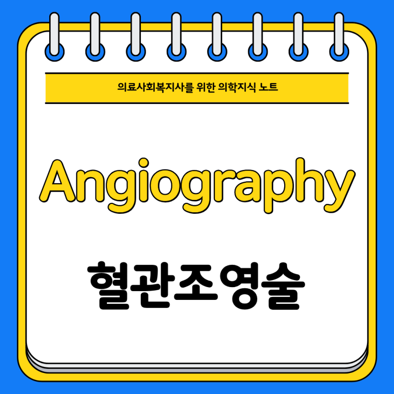 Angiography 의학용어 혈관조영술
