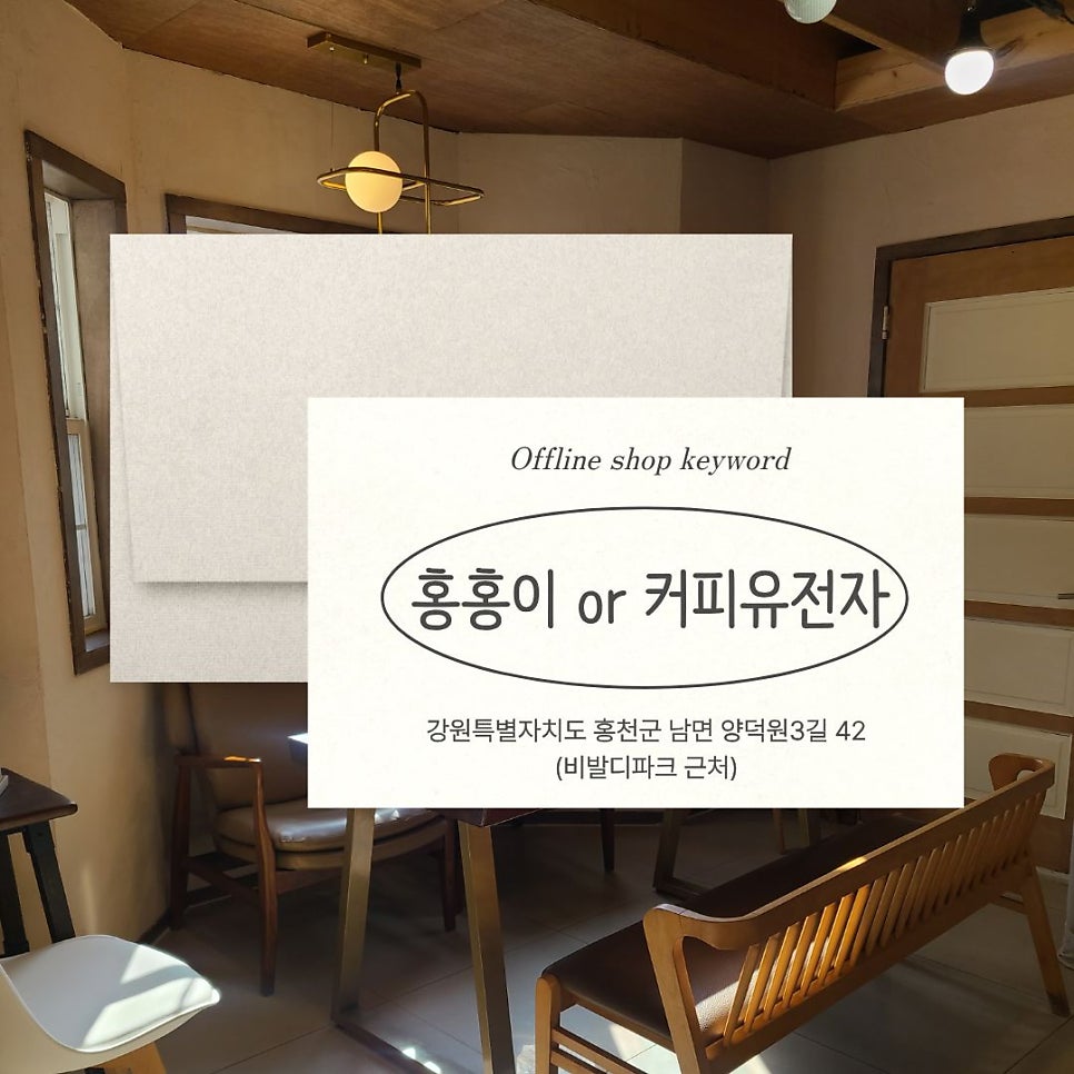 홍홍이 사진 5