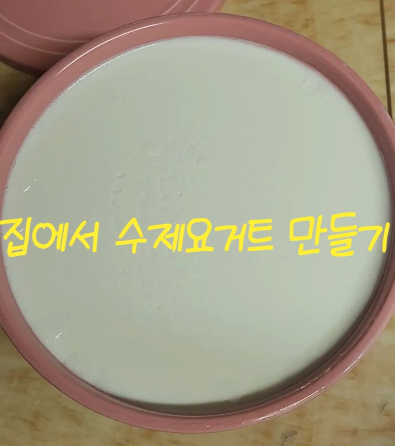 집에서 오쿠를 활용한 요거트 만들기