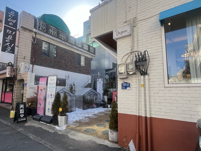 디그리 사진 1