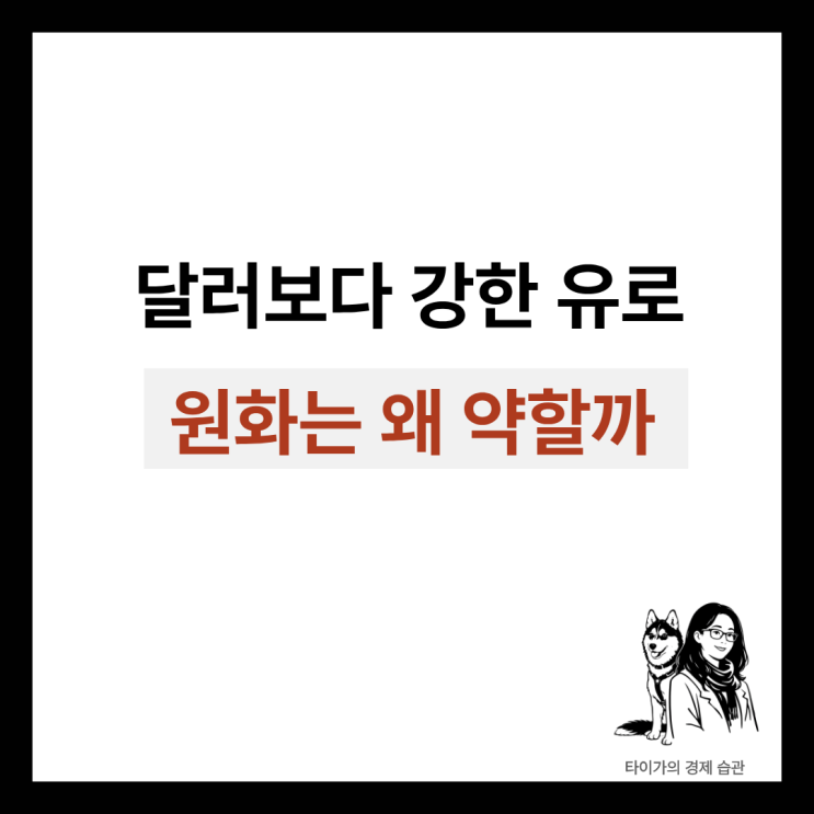  유로 환율 1700원 돌파  유럽여행 전 꼭 알아야 할 원화 약세의 진실