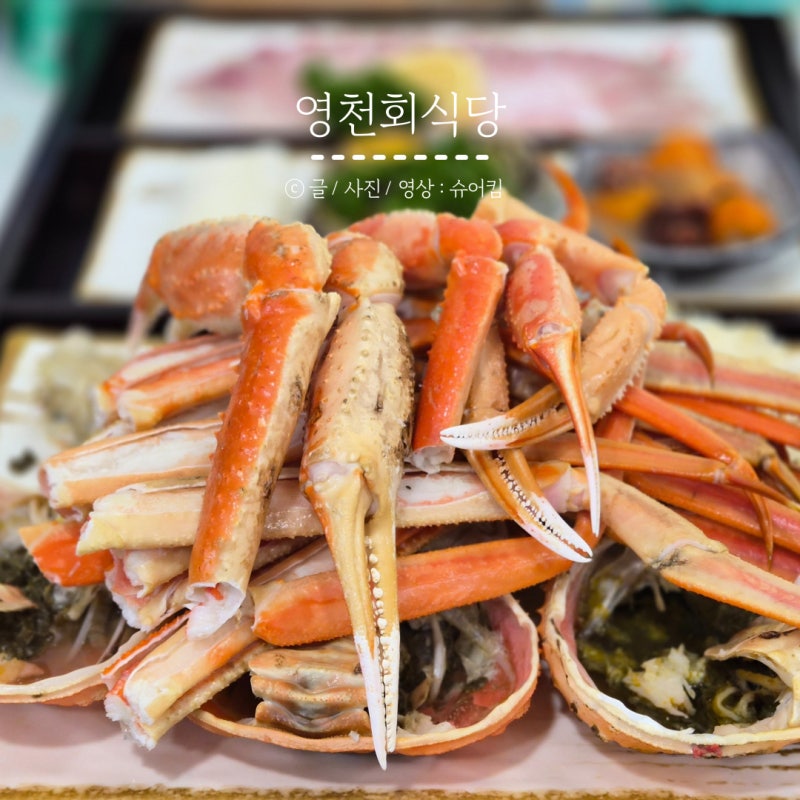 사진 2