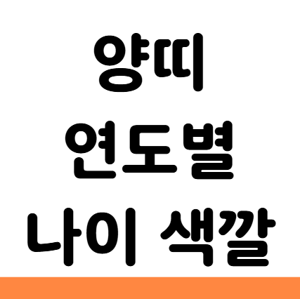  양띠 년생 나이 연도 2026 색깔 직업