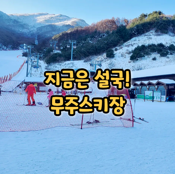  무주스키장 주간 슬로프 후기