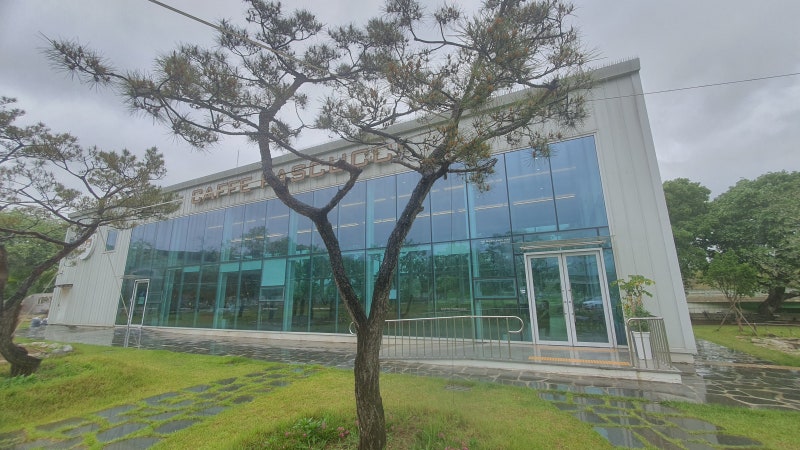 사진 2