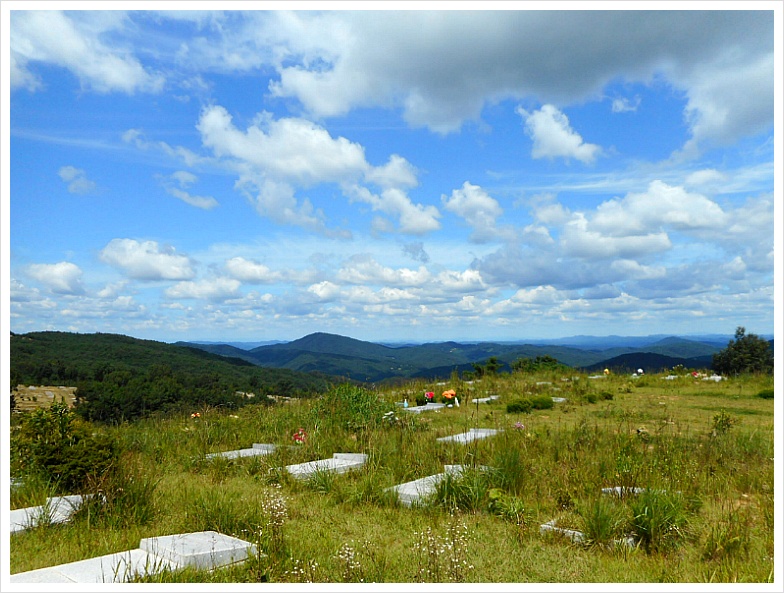오가지산 사진 6