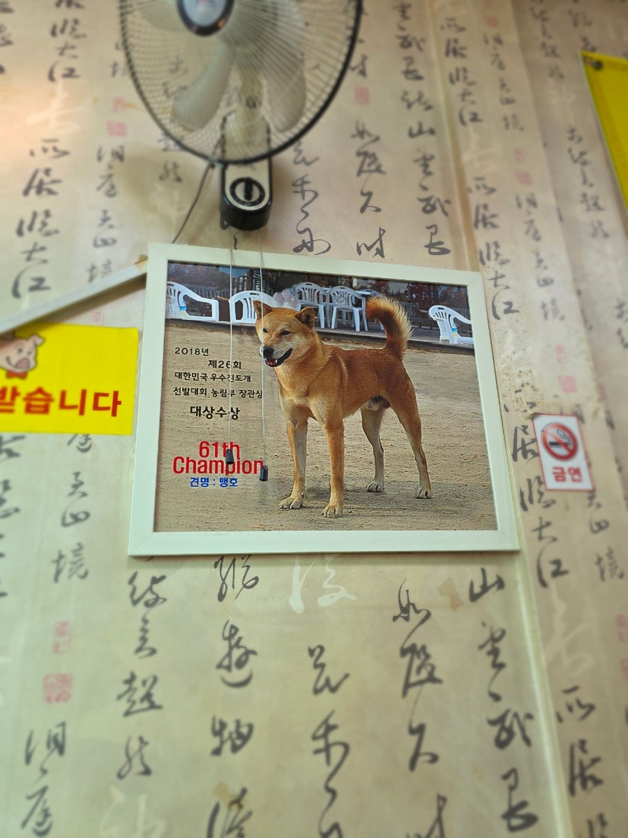 옹골네순대국 사진 6