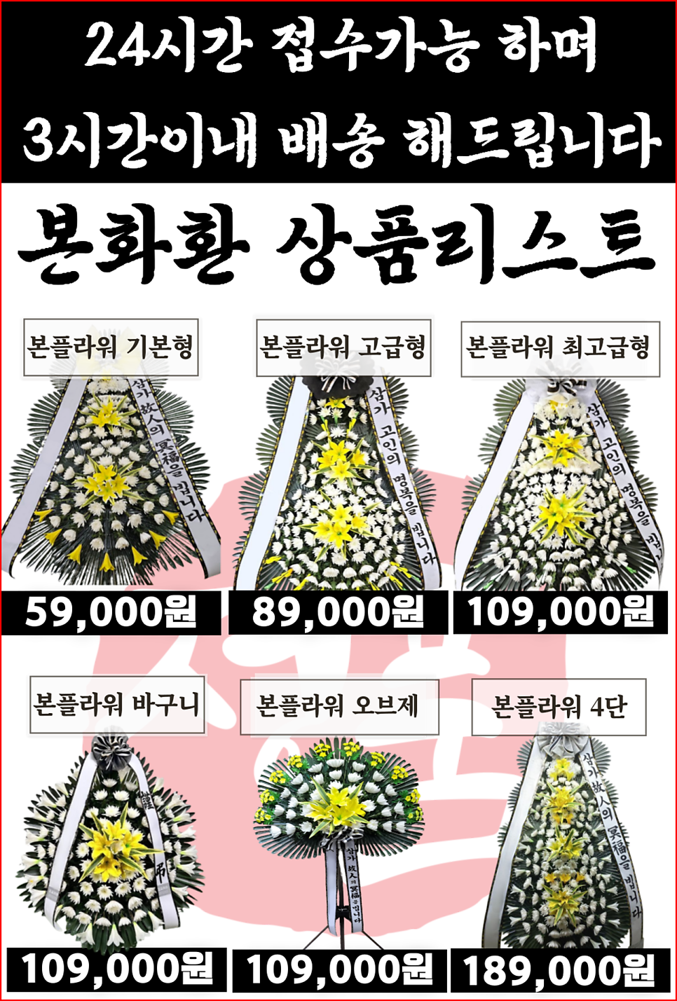 한국효려 사진 3
