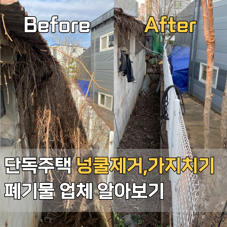  단독주택 넝쿨제거 나무가지치기 폐기물업체