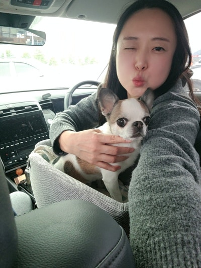 복골온천펜션