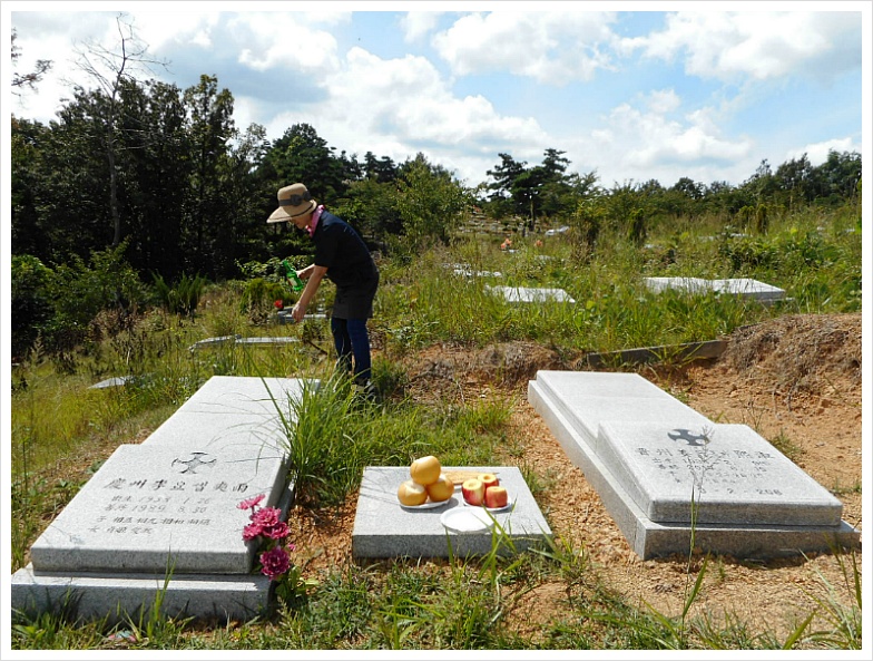 오가지산 사진 4
