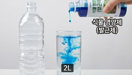 뿌리 발근제 사용방법 , 물꽂이,분갈이 몸살/희석비율 방법