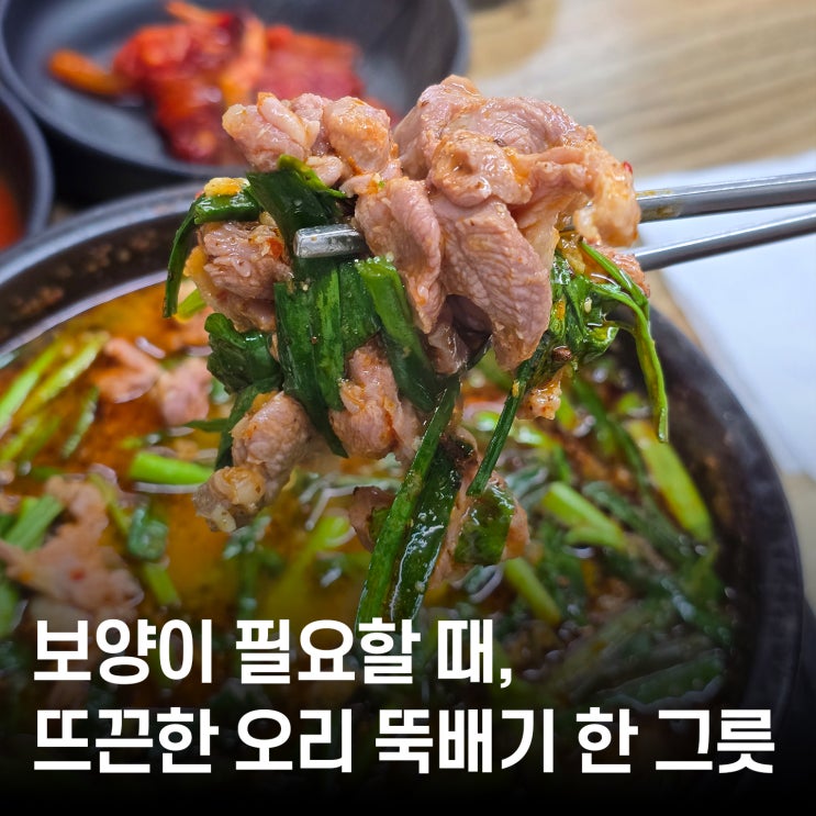  오리요리 보양 끝판왕  대전 엑스포 근처 맛집 서원골유황오리