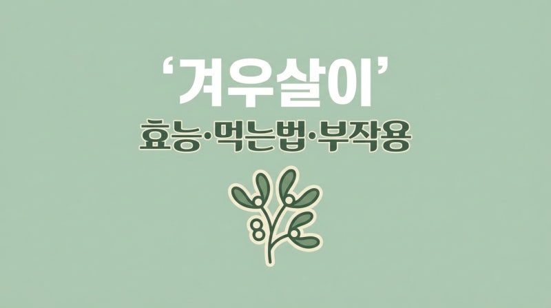 겨울의 기적이라 불리는 겨우살이 효능과 먹는법!