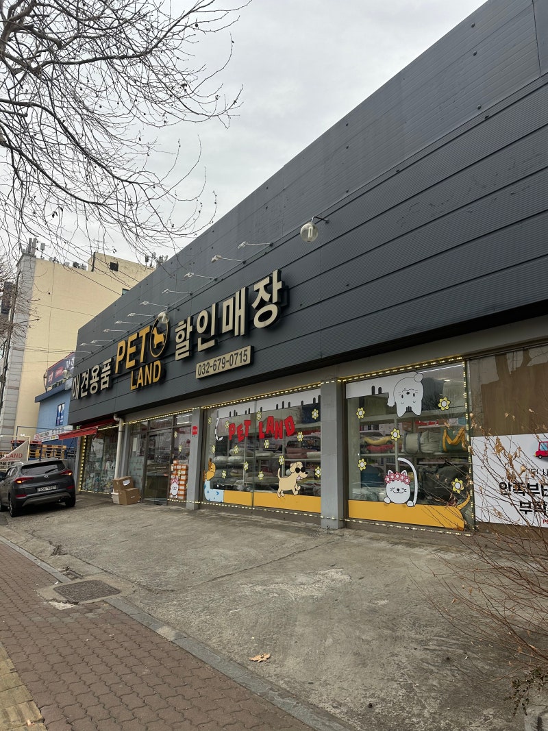 사진 5