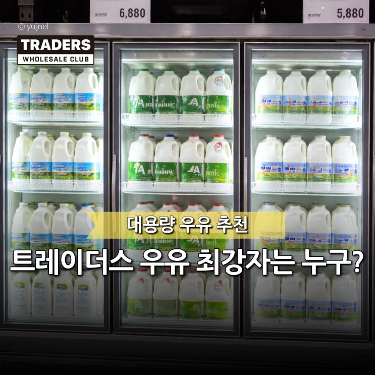  가격 맛 성분으로 고른 '이마트 트레이더스 대용량 우유' TOP3