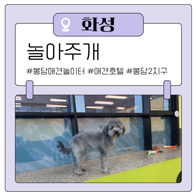 사진 4