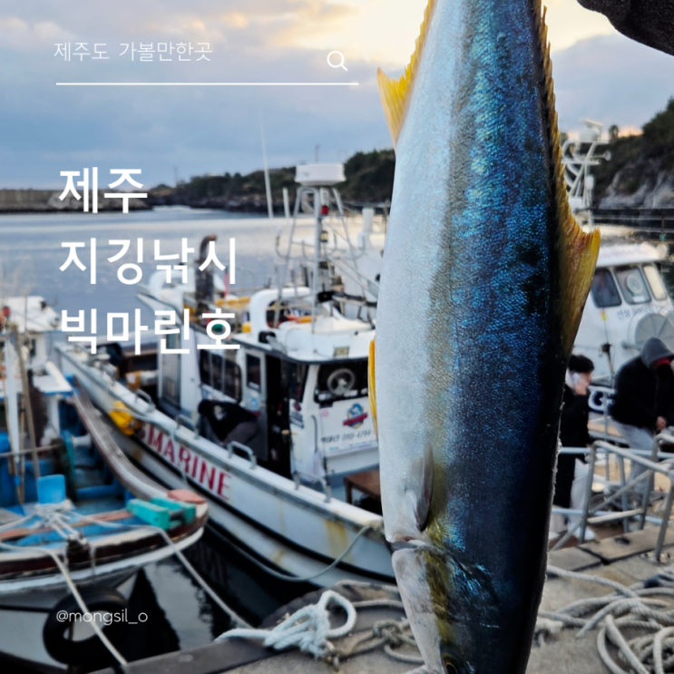  서귀포배낚시 빅마린호 타고 제주체험낚시 어군탐지 제대로다 !!