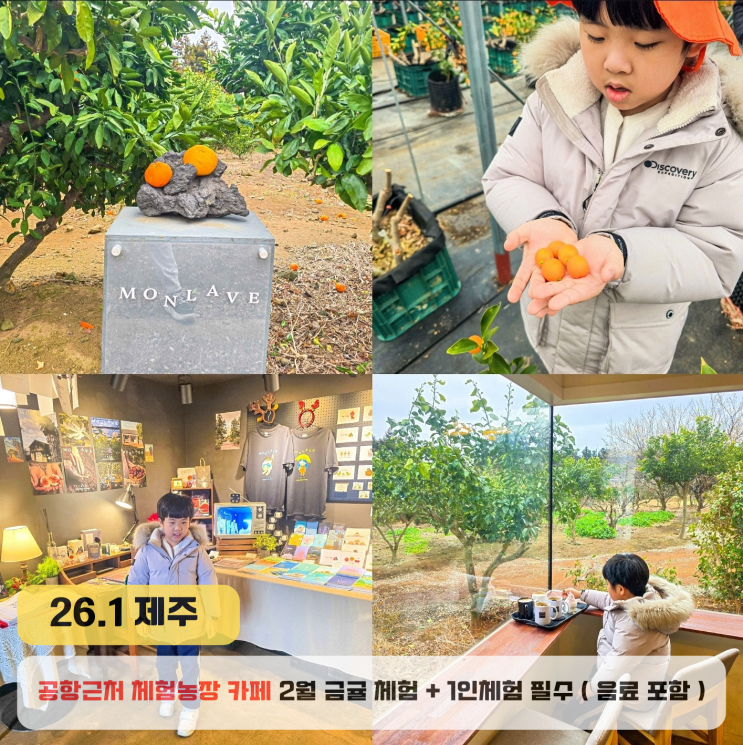  제주 공항근처 실내 가볼만한곳 몽라브 금귤체험농장 카페