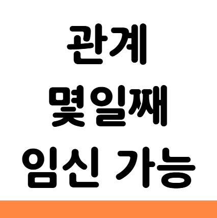  관계 몇일째 임신 가능 얼리임테기