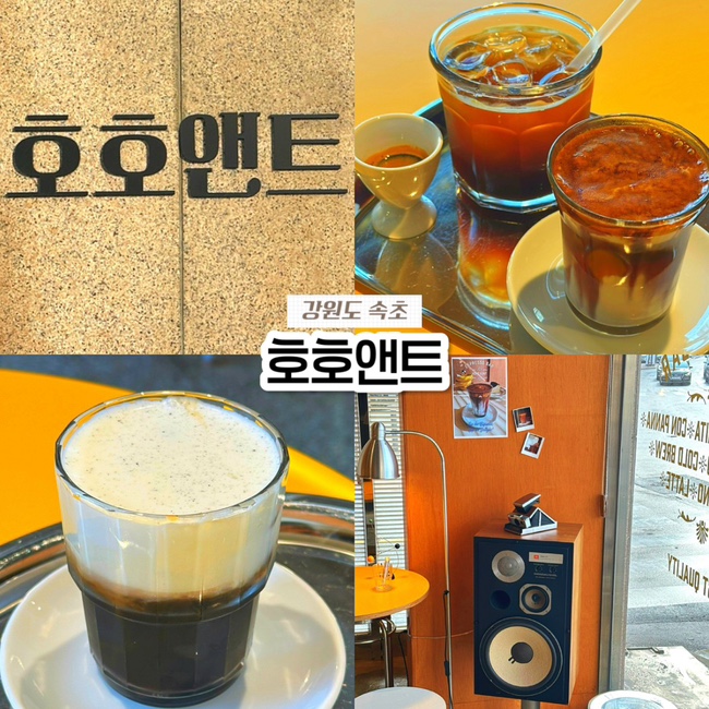 속초 해수욕장 카페 터미널 근처 커피 맛집 호호앤트