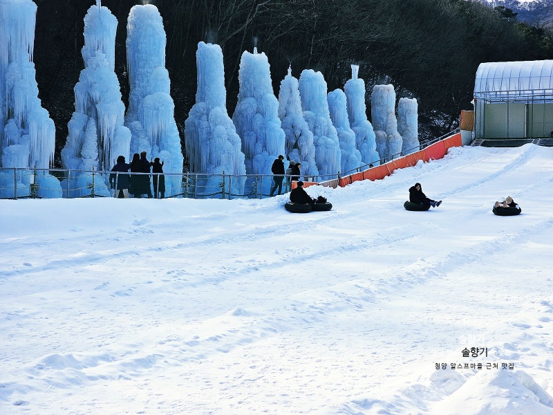사진 8