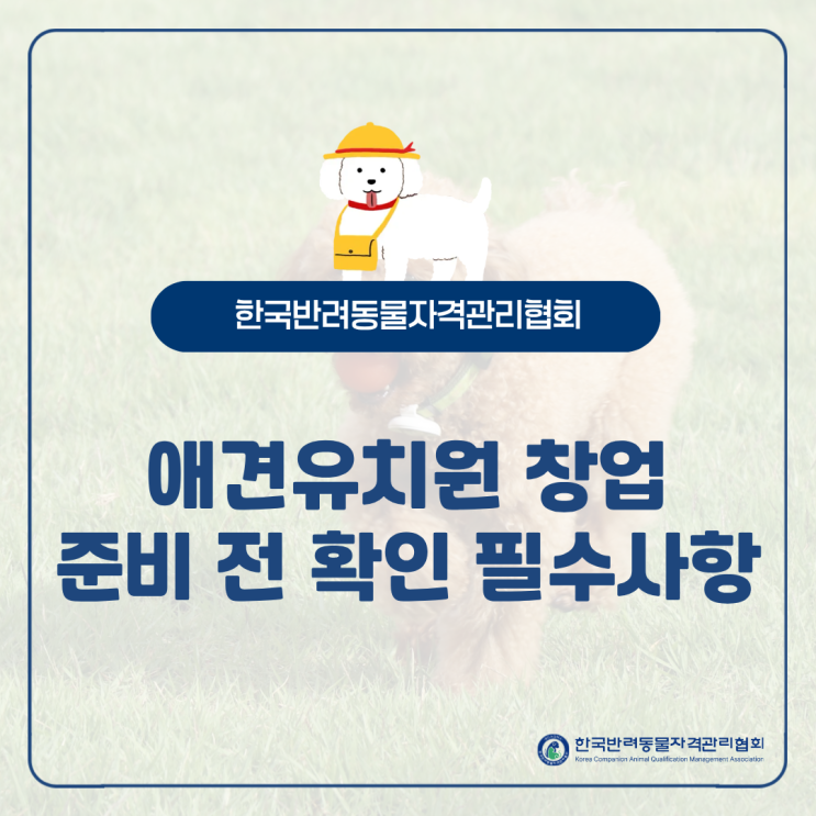  애견유치원창업 | 강아지유치원 준비 전 확인 필수사항은?