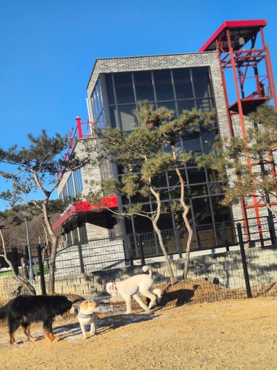 사진 4