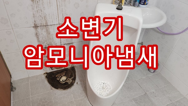 소변기냄새제거 소변기암모니아냄새제거 화장실냄새제거 변기벌레 해결 방법 - 부산.창원.....