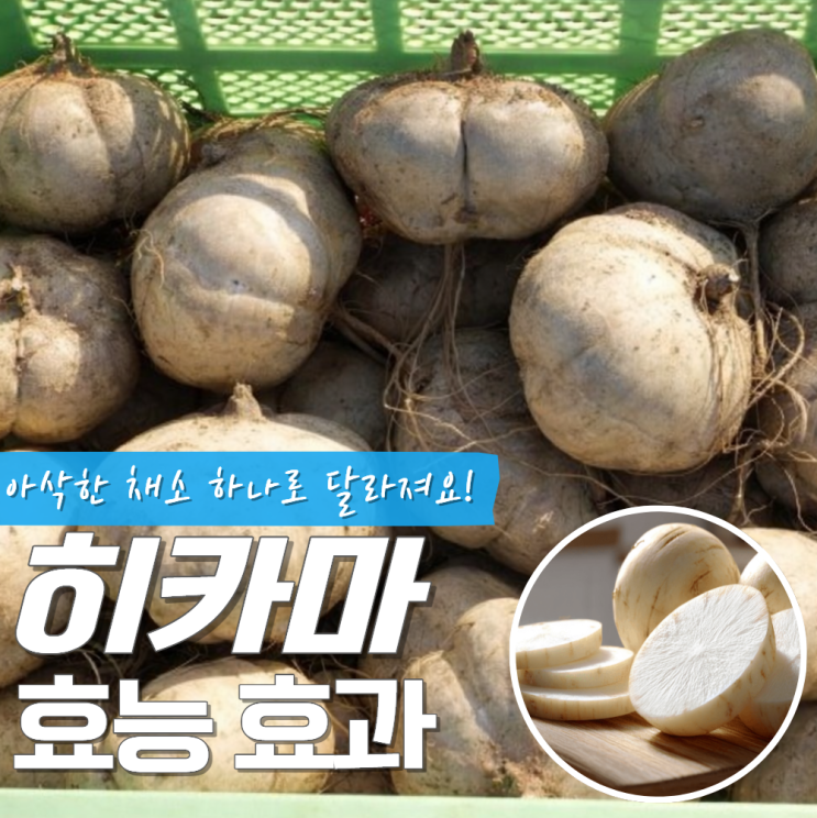 히카마 효능 효과 부작용 주의할점!