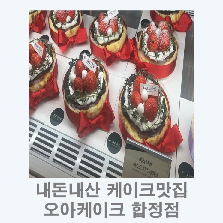  당일케이크 합정 I 미니케이크 오와케이크합정점 솔직후기