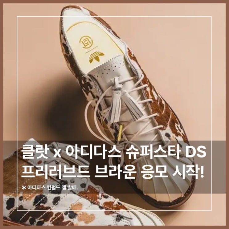  클랏 아디다스 슈퍼스타 DS 프리러브드 브라운 컨펌드 응모 시작!