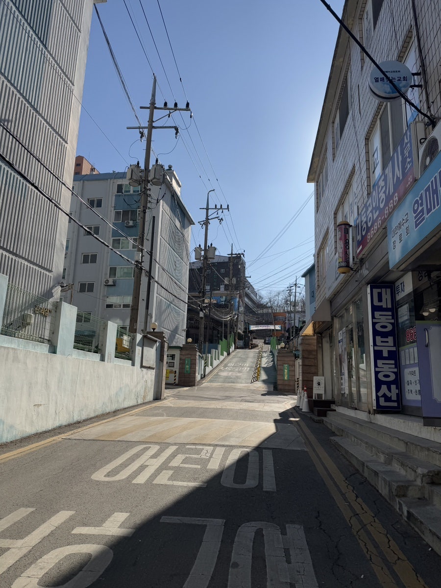 호꼬 앤 라나 사진 2