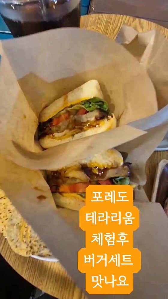 포레도 사진 5