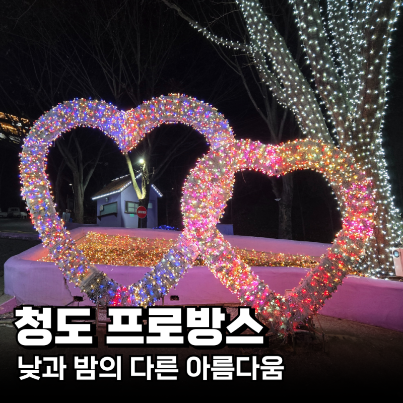 청도 프로방스 빛축제 썰매 글램핑 눈 내리는 곳