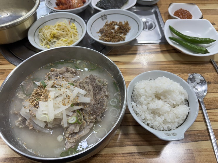  제주 현지인맛집 추천 제주 접짝뼈국 맛집 수니네국수