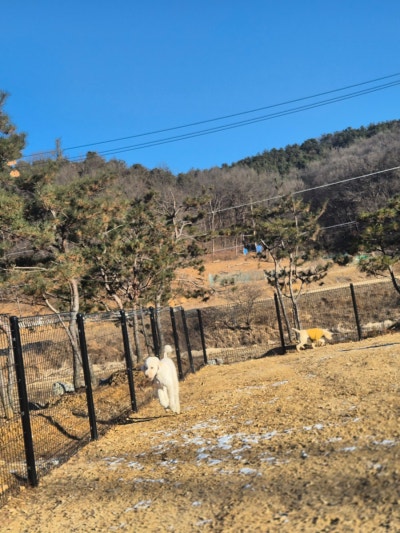 사진 5