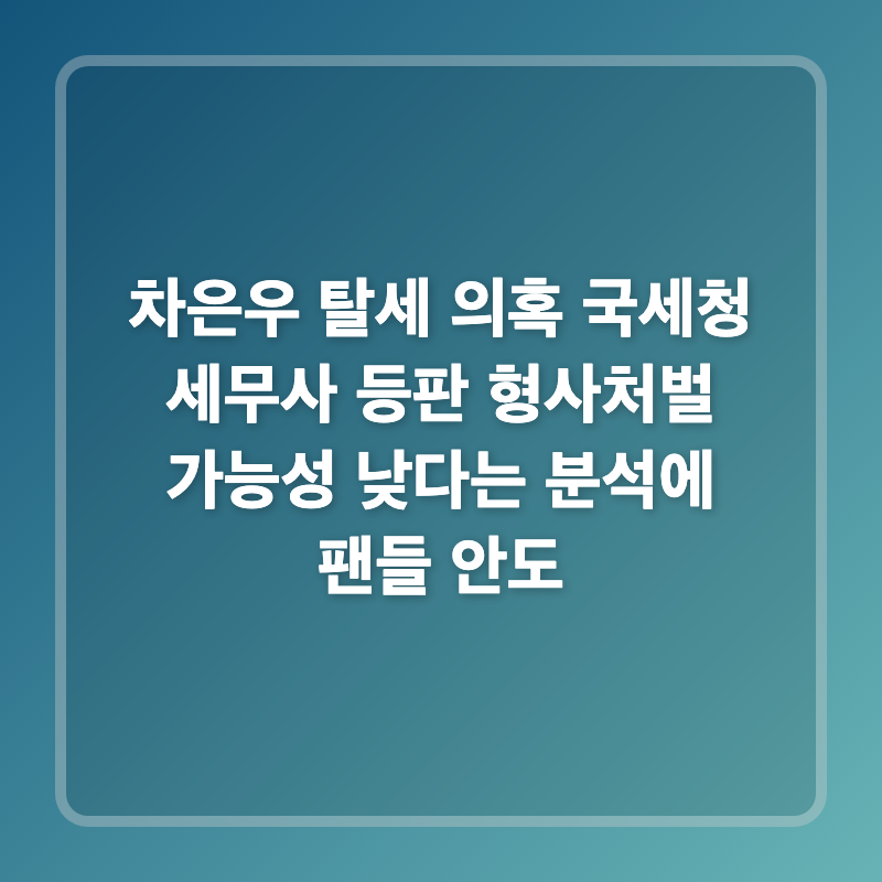 차은우 탈세 의혹 국세청 세무사 등판 형사처벌 가능성 낮다는 분석에 팬들 안도
